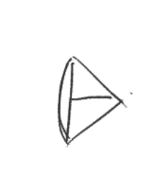 其实问题更复杂一些——上眼皮是比下眼皮更靠外的，这即是说眼睛的法线（如果硬要定的话）是朝下的