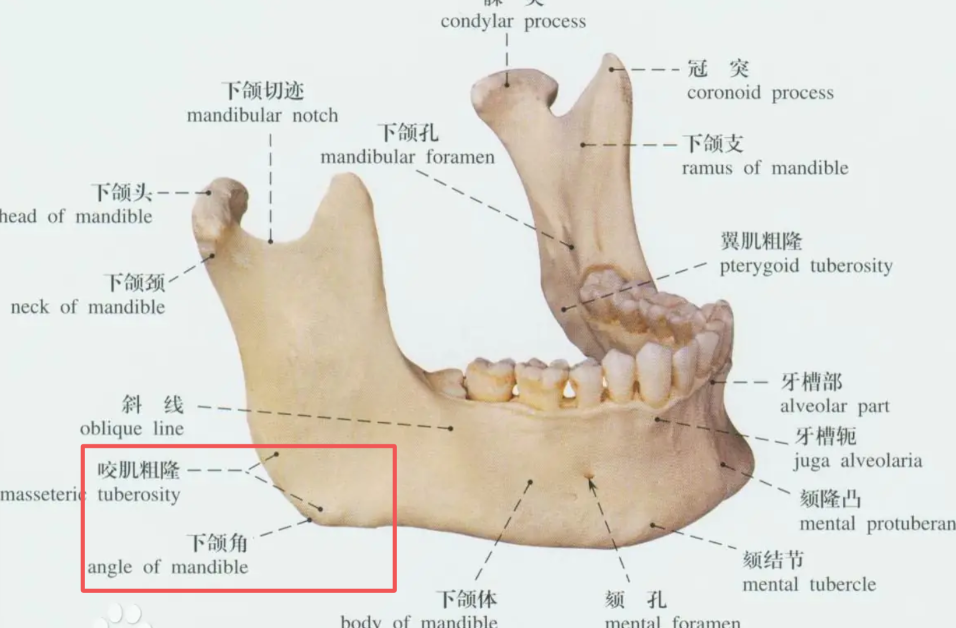 来自百度百科